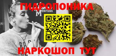 гашик Ливны