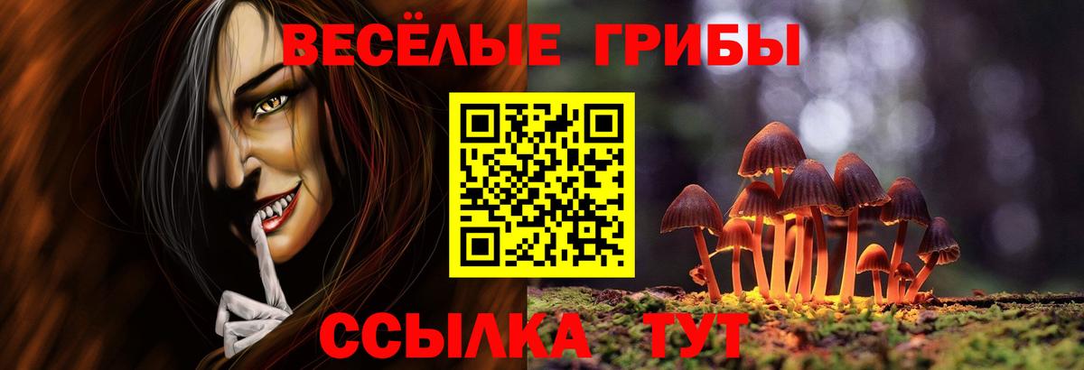 Псилоцибиновые грибы ЛСД  Вход с VPN  Чернушка 